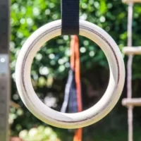 Calisthenics gymnastic rings