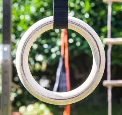 Calisthenics gymnastic rings Calisthenics gymnastic rings