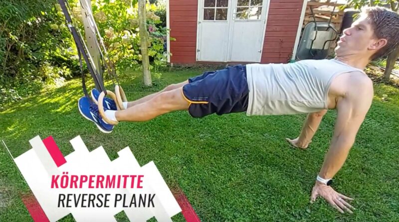 14 Reverse Plank