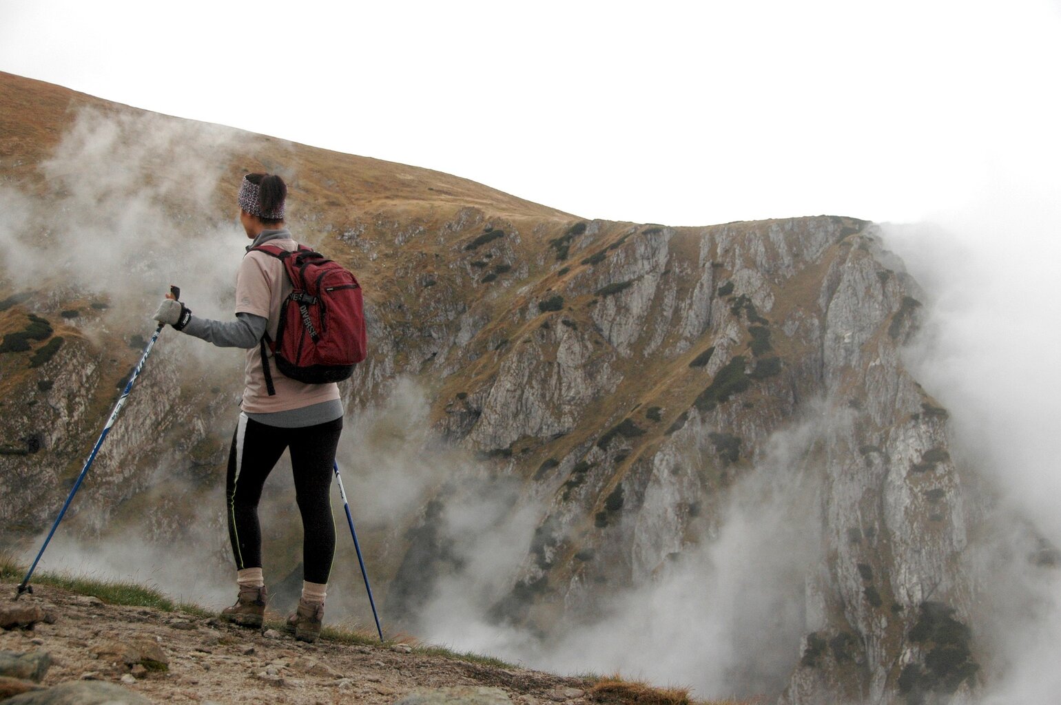 Nordic walking technique