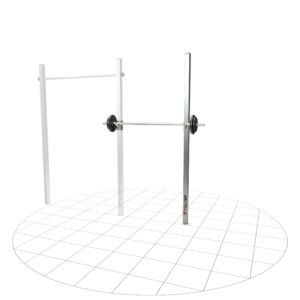 Barbell holder with mounting post