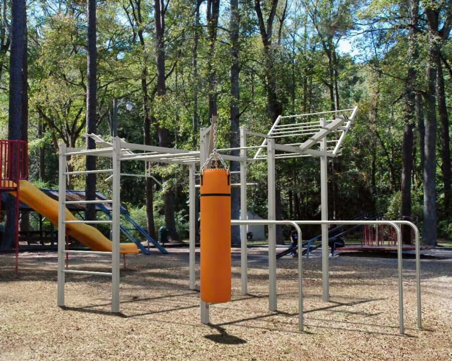 Stazione di allenamento Calisthenics di New York